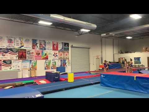 Video of Yurchenko Layout and Full