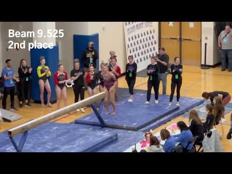 Video of Tessa Brousek - OHSAA 2023 All-Around State Champion Highlights