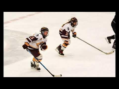 Video of Speedy Hockey