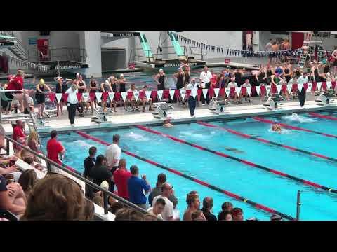 Video of 2019 IN Senior State Long Course Champs - 200 IM Relay (Fly)