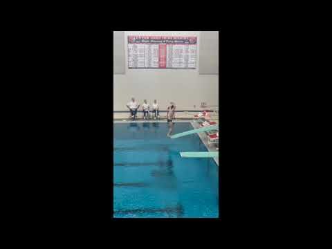 Video of PIAA High School- District III- District diving Championships 2024