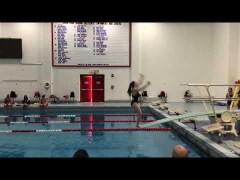 Video of Diving Highlights 2020