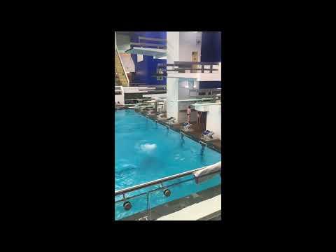 Video of Manitoba Provincials: 3m and Platform