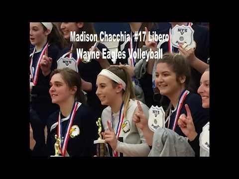 Video of #17 Soph Year Sectional Win & All Tourney Team