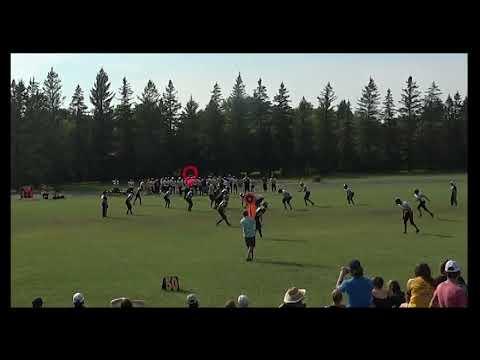 Video of Adrian Moore - 2024 Exhibition