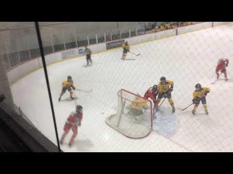 Video of Henningsen (red jersey) #2 - NJ Falcons vs Avalanche:  Nov 9,2019