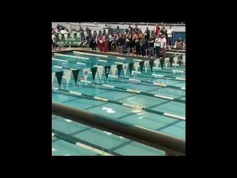 Video of IHSA State 2019