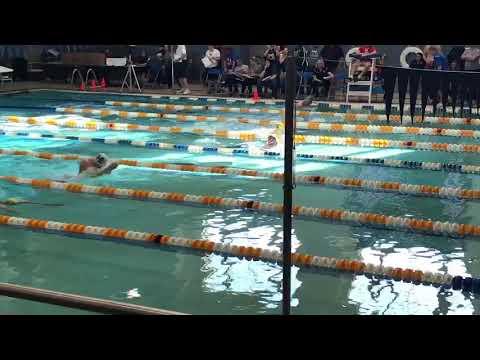 Video of Breaststroke 2017-2018 HS Swim 