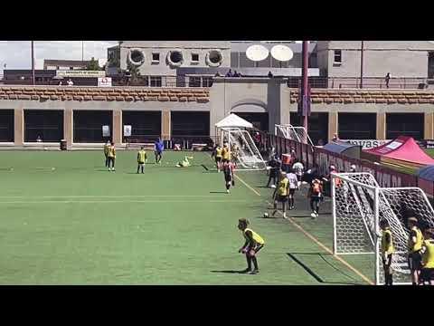 Video of 2023 Goalkeeper Summer Camp ID highlights