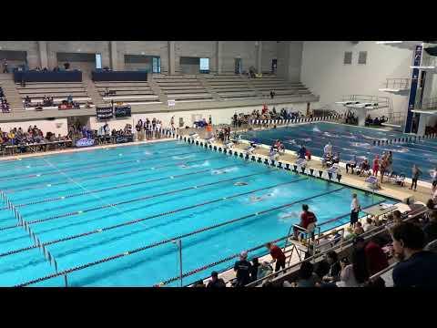 Video of Piper 500 Free 2019 husky