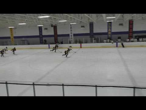 Video of Alyssa Knauf #3 (white) 2 Goals in 4-2 Win in Sectional Finals Rock County Fury 2-28-2020