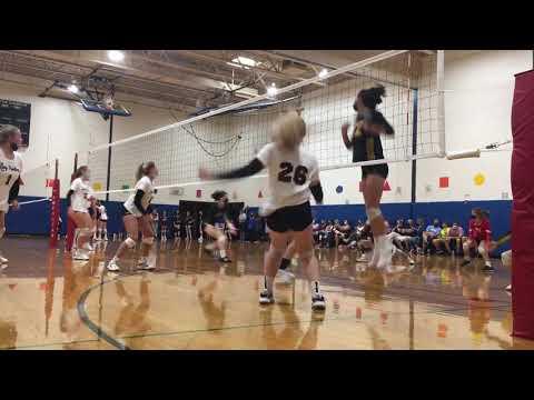 Video of Kylie Senior Setter