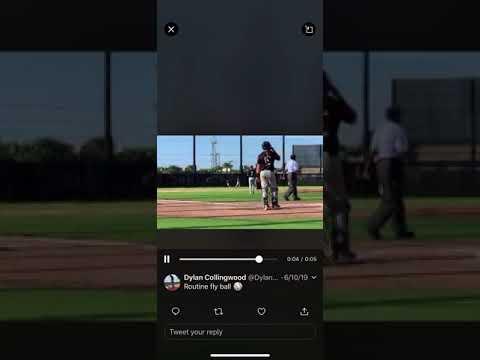 Video of Routine fly ball