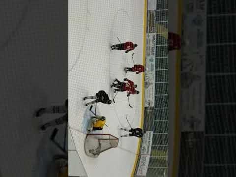 Video of Hockey 