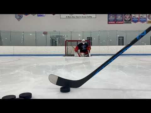 Video of Vincent Reiley 11/4/2023 Defending The Crease (DTC) Lesson