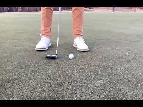 Video of Putting Stroke January 2022