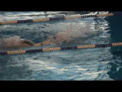 Video of 100 Fly