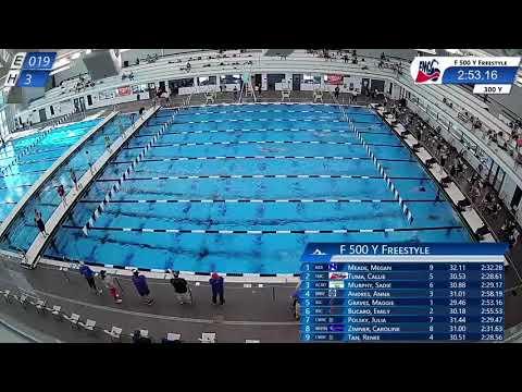 Video of 2021 500 Free Lane 2 (2nd from bottom)