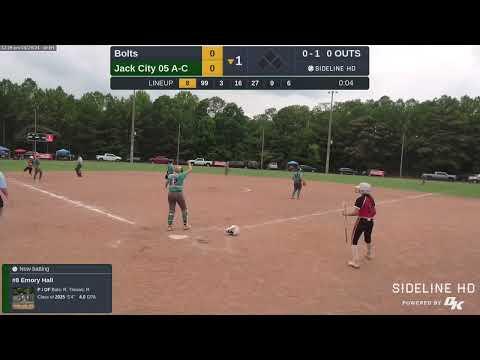 Video of Summer 2024 Hitting Highlights