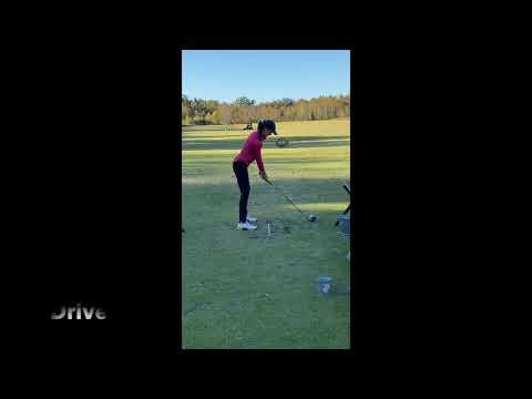 Video of Full Swing Preview