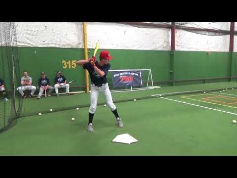 Video of Bat & position Feb. 2018