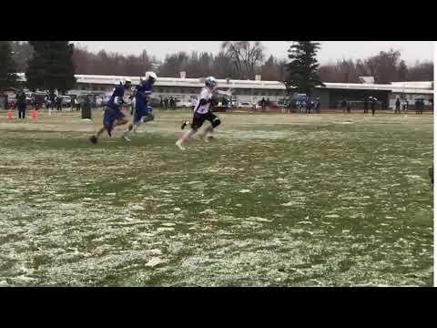 Video of Snowy lsm on the run goal