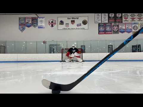 Video of Vincent Reiley 1/13/2024 Defending The Crease (DTC) Lesson