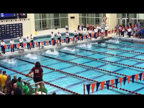 Video of 2018 PIAA 100 Back Finals 