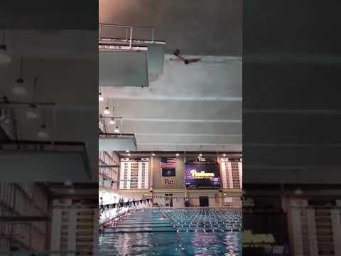 Video of 10 meter from handstand