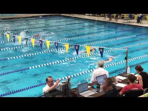 Video of 100 Back Lane 3