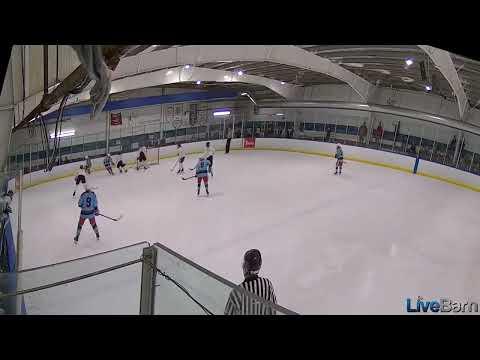 Video of Charlotte #18 Blue scores in Detroit tournamnet