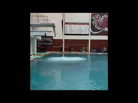 Video of Some of my diving higlights!