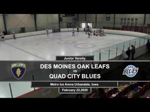 Video of Oak leafs vs blues