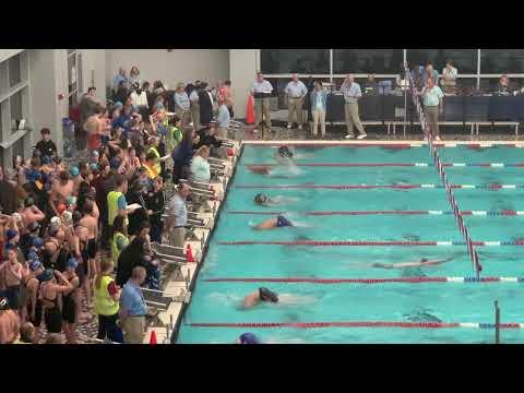 Video of 400IM Short Course 2020 Part 1