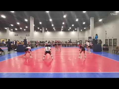 Video of 2024 USAV Highlights