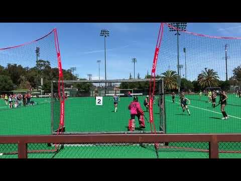 Video of Claire Telford - field hockey goalie - April 2019