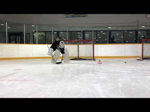 Video of T-push goalie drill