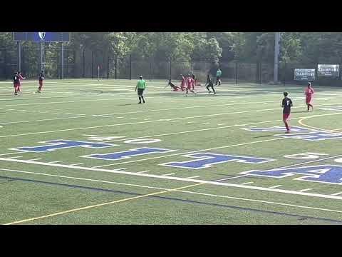 Video of Lakefront Showcase 