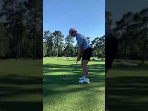 Video of William Phipps Swing Video