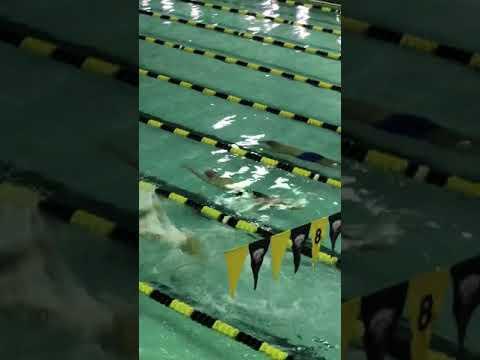 Video of NBAC Champs November 2019 100 Back