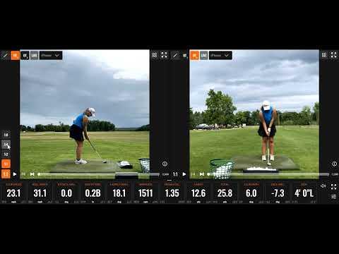 Video of Chipping