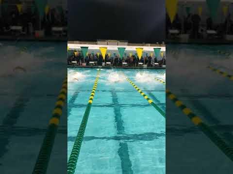 Video of 50 Free December 2019