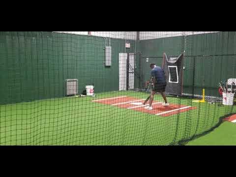 Video of Back in the cages