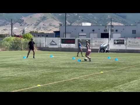 Video of Quick Touches Training Session