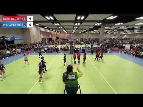 Video of Highlights: serving, blocking, hitting, back row #11