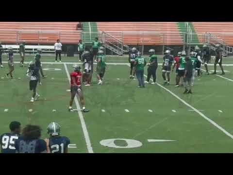 Video of Blue Green Spring Game. 2024