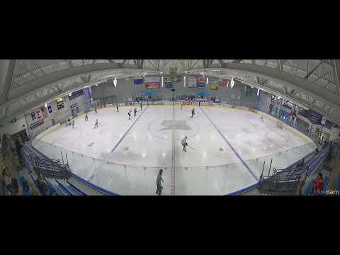 Video of Eli Graf (goalie in white - right side of video) assists goal 4-8-22- Assists goal