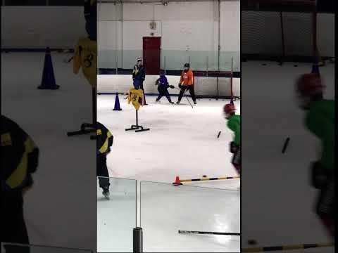 Video of agility and stick handling