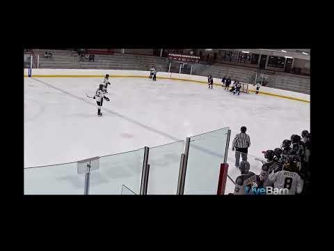 Video of Goal vs Jaguars #65