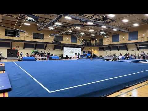 Video of Level 9 Floor Routine 